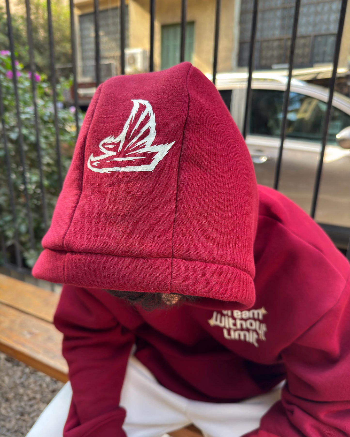 Burgundy Wine Hoodie